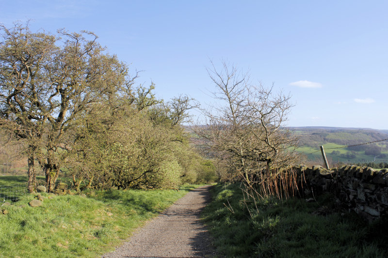 Bar Road Bar Road